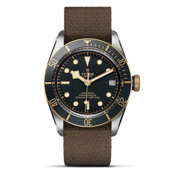 TUDOR Black Bay S&G