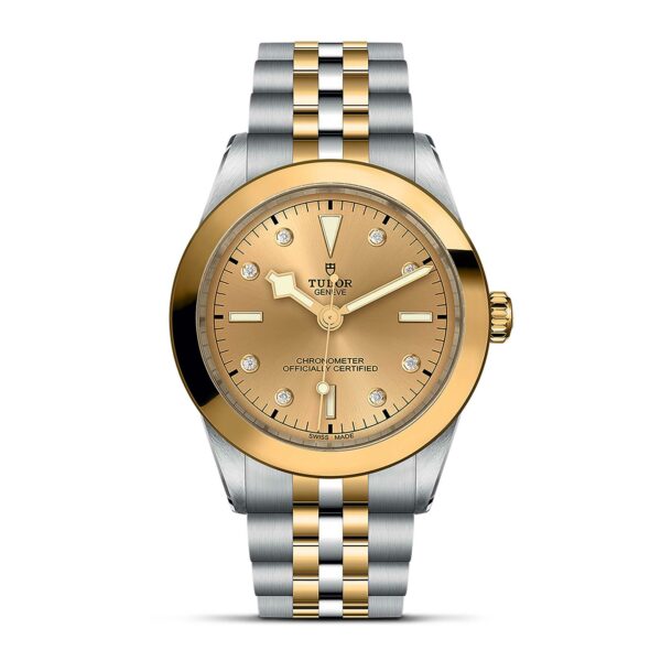 TUDOR Black Bay One 39 S&G
