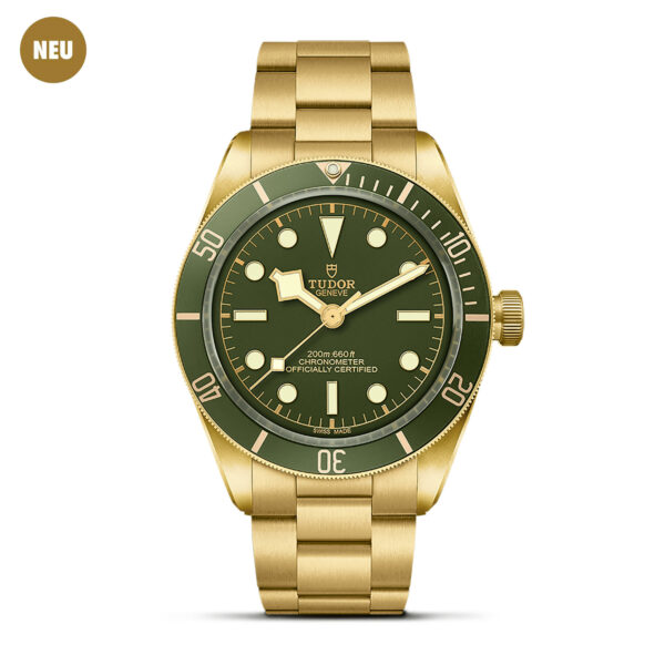 TUDOR Black Bay 58 18K