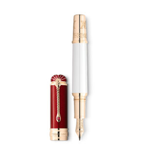 Montblanc Patron of Art Homage to Albert Limited Edition 4810 Füllfederhalter F