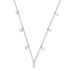 Paukner My Diary Collier