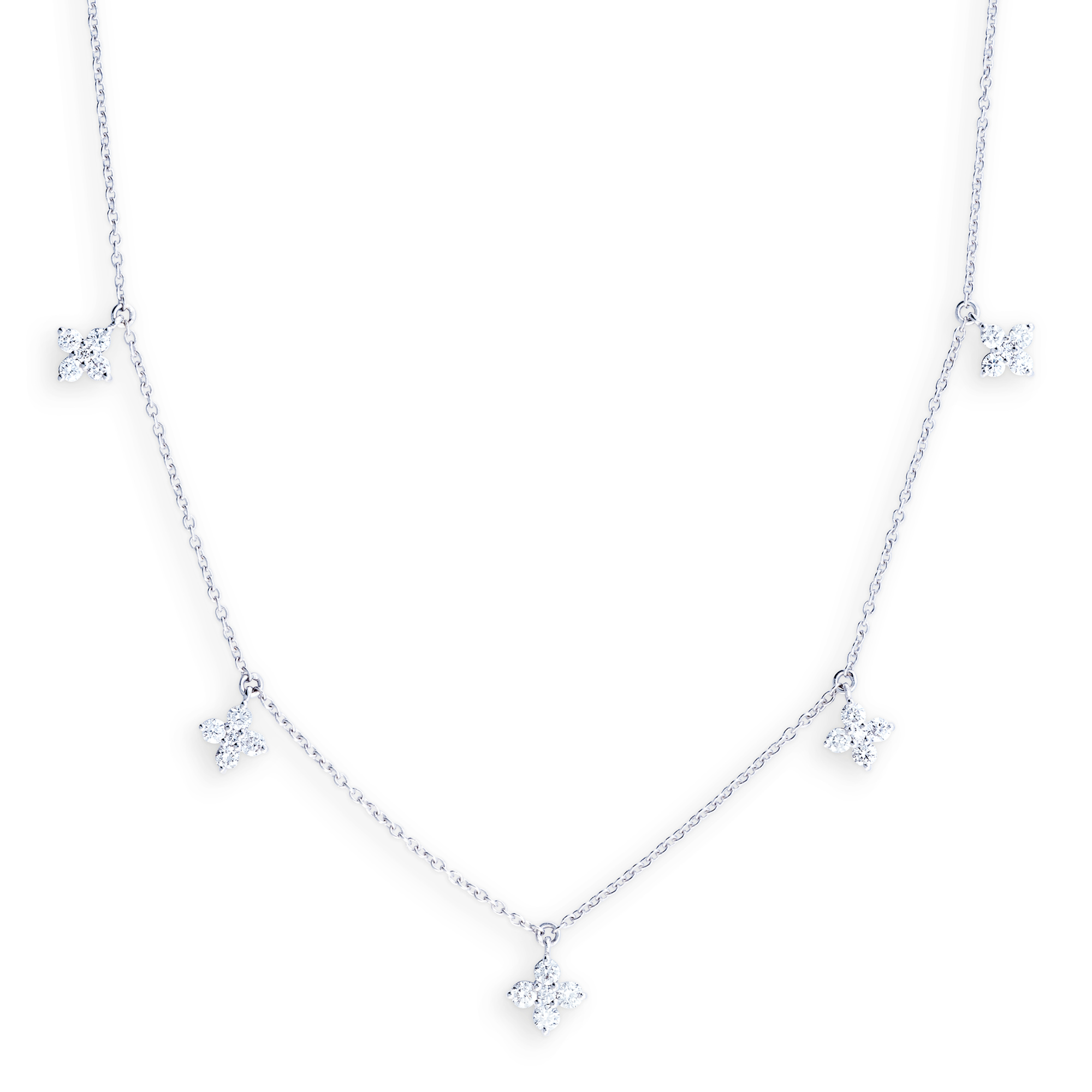 Paukner My Diary Collier