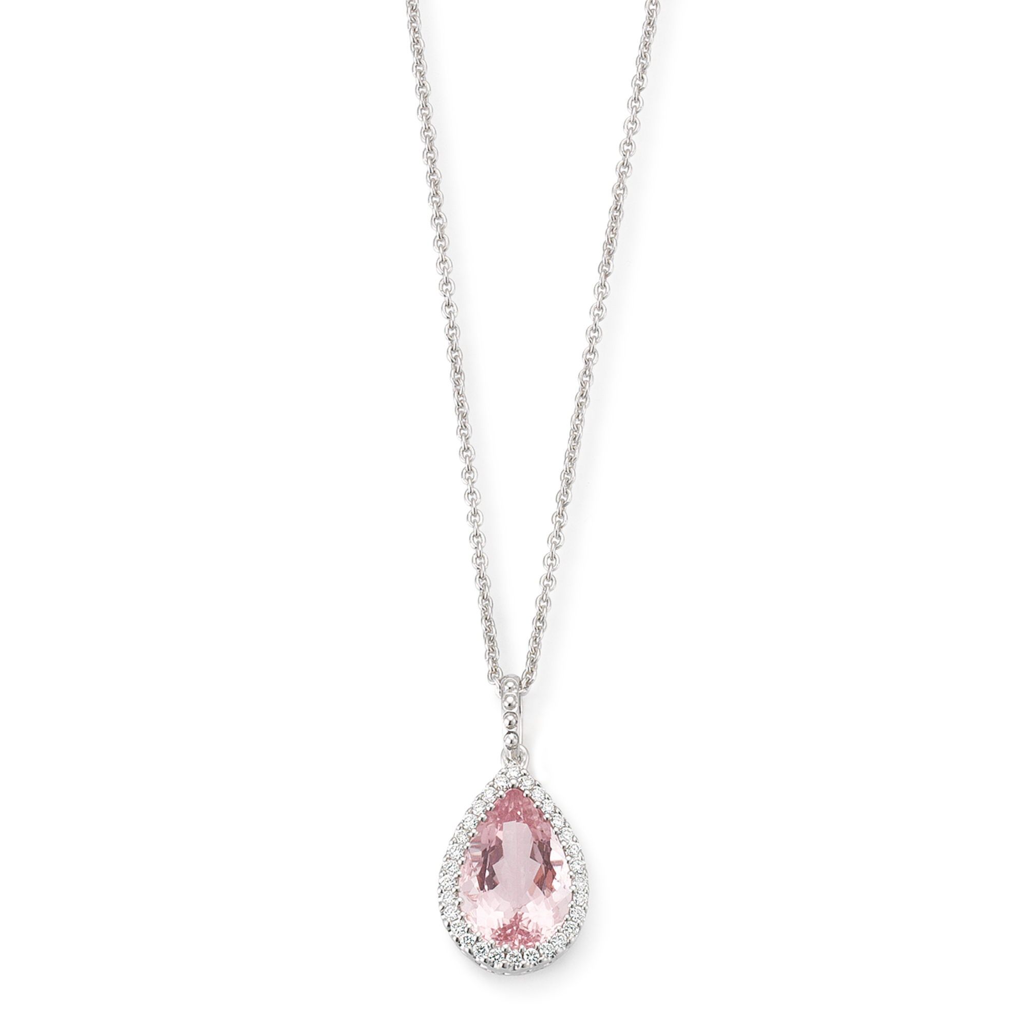 Paukner My Diary Collier