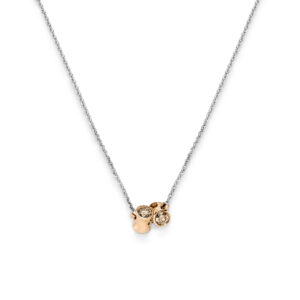 Leo Wittwer Le Tonneau Collier