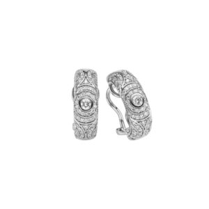 Leo Wittwer Panta rhei® Ohrclips