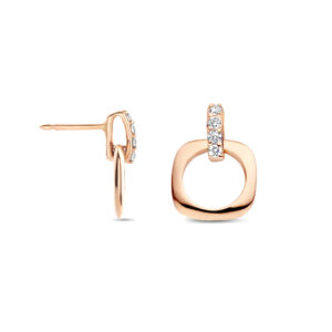 Bigli Elements Earrings