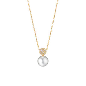 Gellner Modern Classics Collier