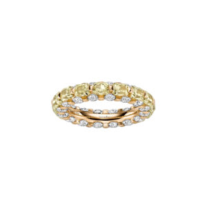 Leo Wittwer The Ultimate Ring